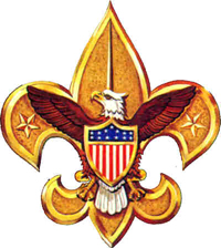 Scouts may allow gays