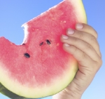 Watermelon the natural Viagra