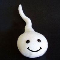 Happy little sperm