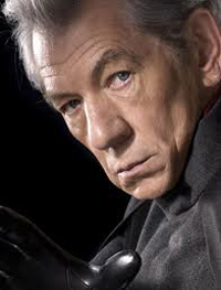 Ian McKellan as Magneto