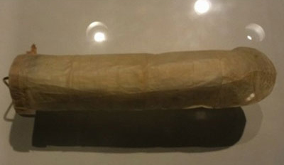 19th-century condom on display