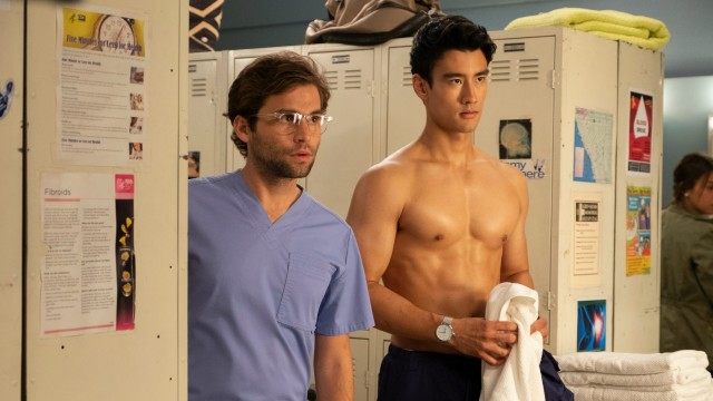 Grey's Anatomy new gay couple