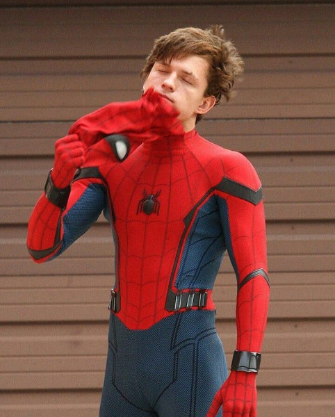 Gay Spiderman Porn - Tom Holland wants to see a gay Spider-Man | BananaGuide